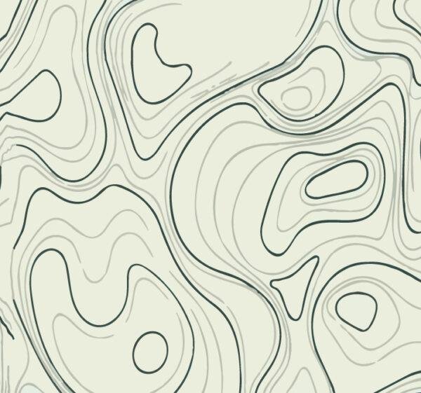 Geographic Mark Gift-paper maps, lines - Image 2